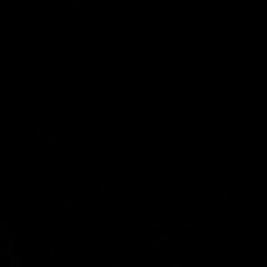 Meet your Posher, Gage